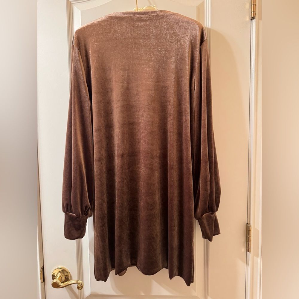 NWOT Zara Collection Brown Velvet Straight Dress - Picture 3 of 8